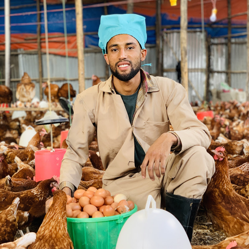 ዶሮ እርባታ ለጀማሪዎች እርባታ በኢትዮጵያ  Logo