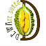 q5FEEYWVoRk-channel-avatar-DEWAne duren