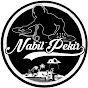 DJ Nabil