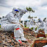JiTK8PZLQuc-channel-avatar-The LastLiners