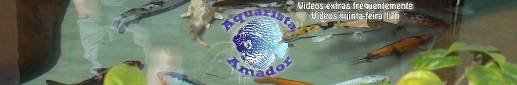 Canal do Aquarista Amador por Rafael Rohden رمز قناة اليوتيوب