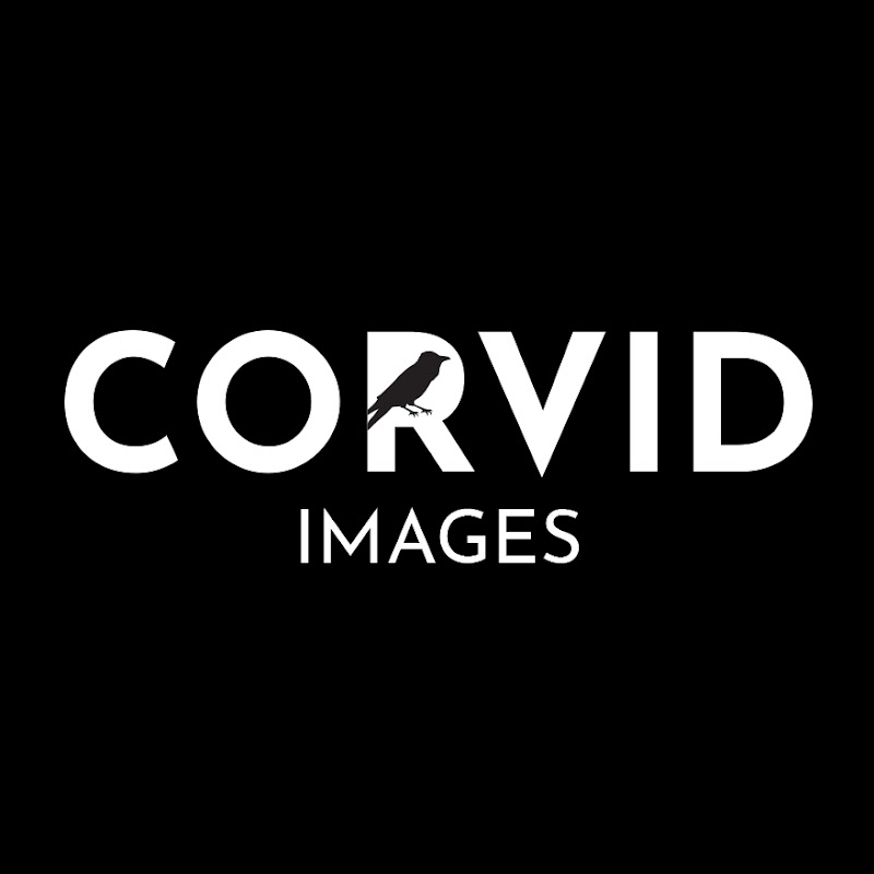 Corvid Images