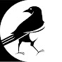 Saudi Birding logo