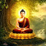 TqWYj0DYWcM-channel-avatar-နိဗ္ဗာန်တံခါး