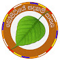 බෝපිටියේ සදහම් පාසල Bopitiye Sadaham Pasala logo