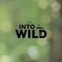 into the wild logo