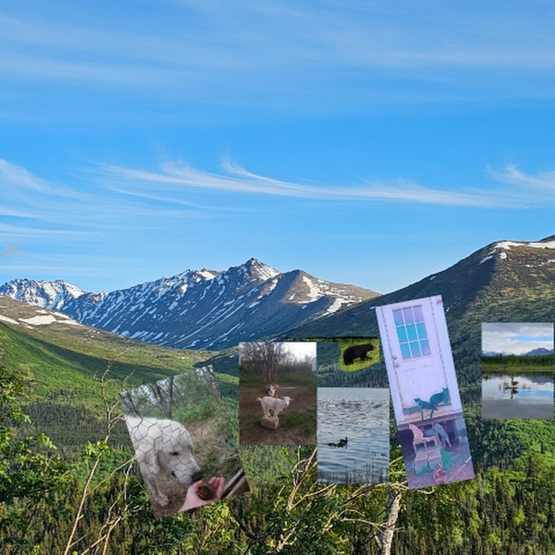 Natureoutdoorsyquest