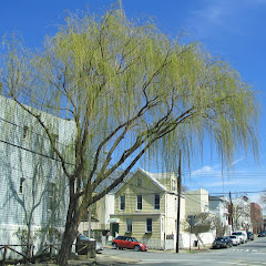 Christina Wilkinson