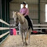 M26hXq1IDGc-channel-avatar-Elaine Heney & Grey Pony Films