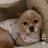 @hjhj0511