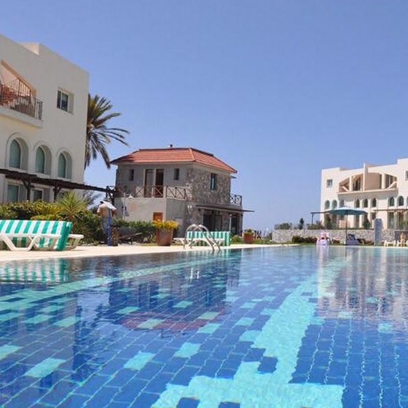 Live Cyprus