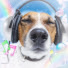 -monKhLVWKg-channel-avatar-INDIEss