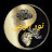 نور الوعي