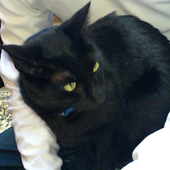 タカオカミズキ - takaokamizuki -