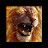 @G-entleManAndScholar Avatar
