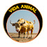 ST3T-Lk1W7A-channel-avatar-Vida Animal TV