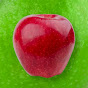 AppleQuest logo