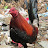 @allthingstechandgadgets657's avatar