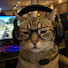 X55JLhqUlXs-channel-avatar-MaddOP