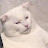 @금융치료사-l9c