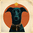 oNmo9zuCKWc-channel-avatar-The path of the Dog Star