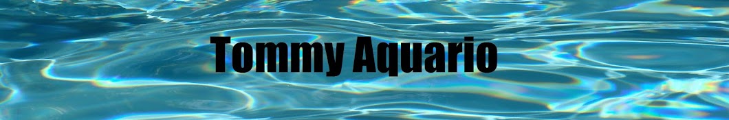 Tommy Aquario YouTube channel avatar