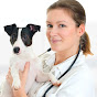 Veterinarians USA logo