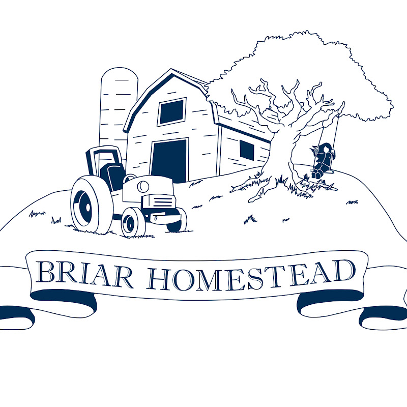 Briar Homestead