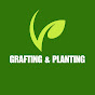 Grafting & Planting logo