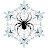 Snowflakes & Spiders