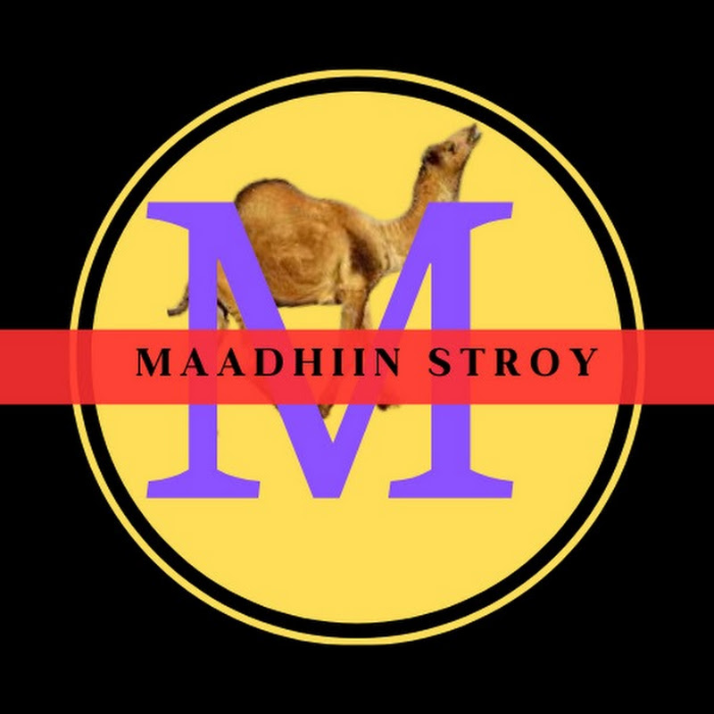 Maadhiin story