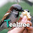 Tealtree 