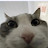 @jmpaniag's avatar