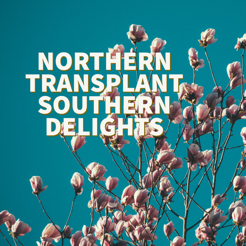 Northern Transplant Southern Delights