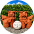 N6TcmQ-zDjk-channel-avatar-Hapi-Oki_LIFE