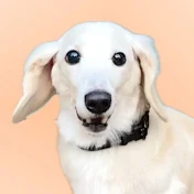 コハ家