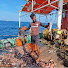 IIZL6QrykrY-channel-avatar-Marine Meals