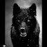 eJUamAWWY18-channel-avatar-Wolf horror