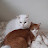 @진숙박-z9l