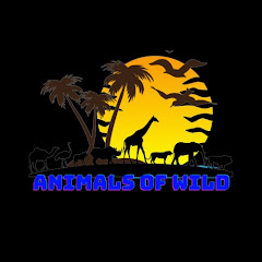 Animals of Wild avatar