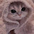 @Shahd3skar