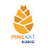 niBUAt35yF4-channel-avatar-PINE KAT AUDIO