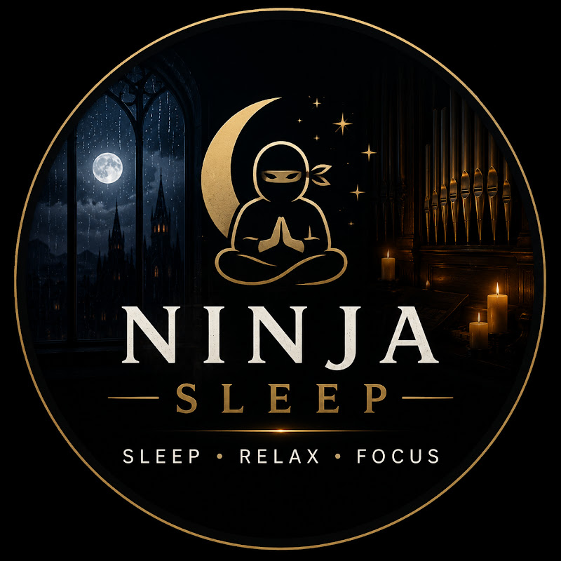 Ninja Sleep