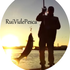 Rui Vide