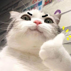 just4meow