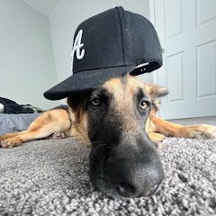 Arlo