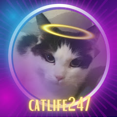 Catlife247 Avatar