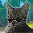 v37h21ld6no-channel-avatar-Cat Dev