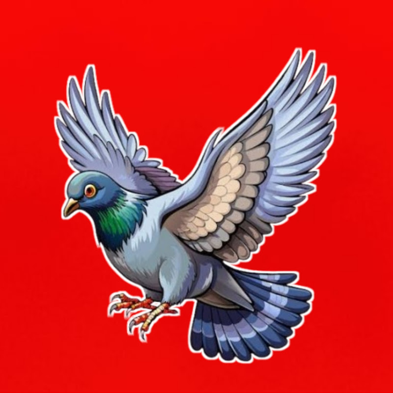 Pigeon Rescue World