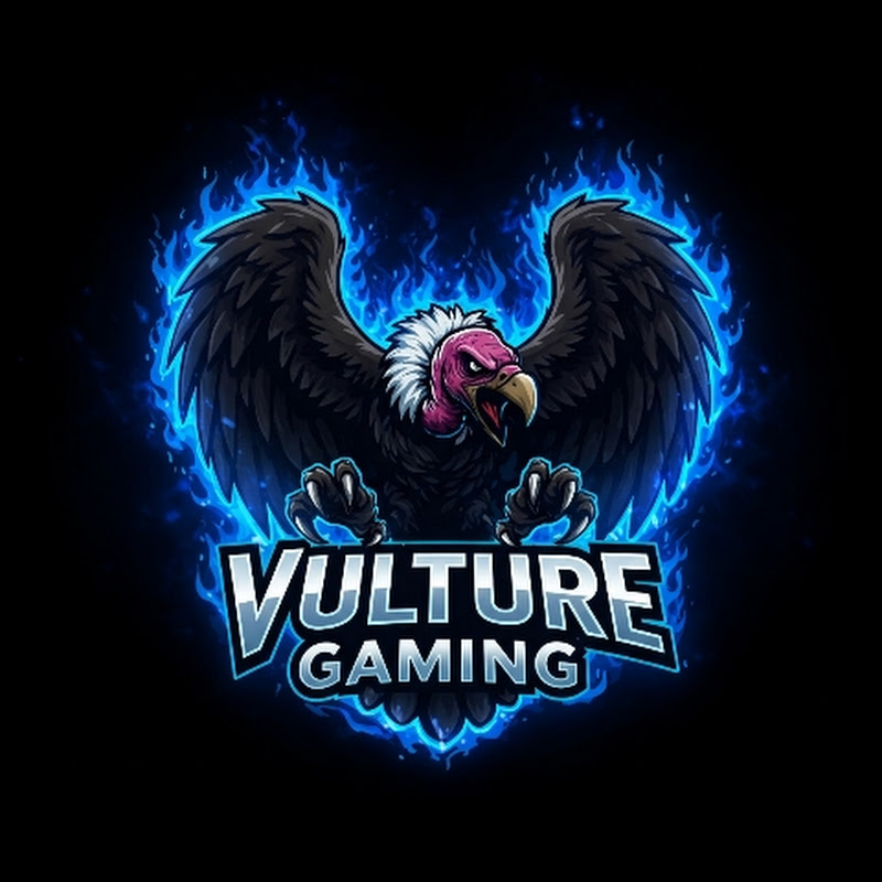 Vulture Gaming 